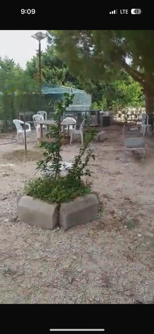 حجز قعدة خاصة مع منقل شوي